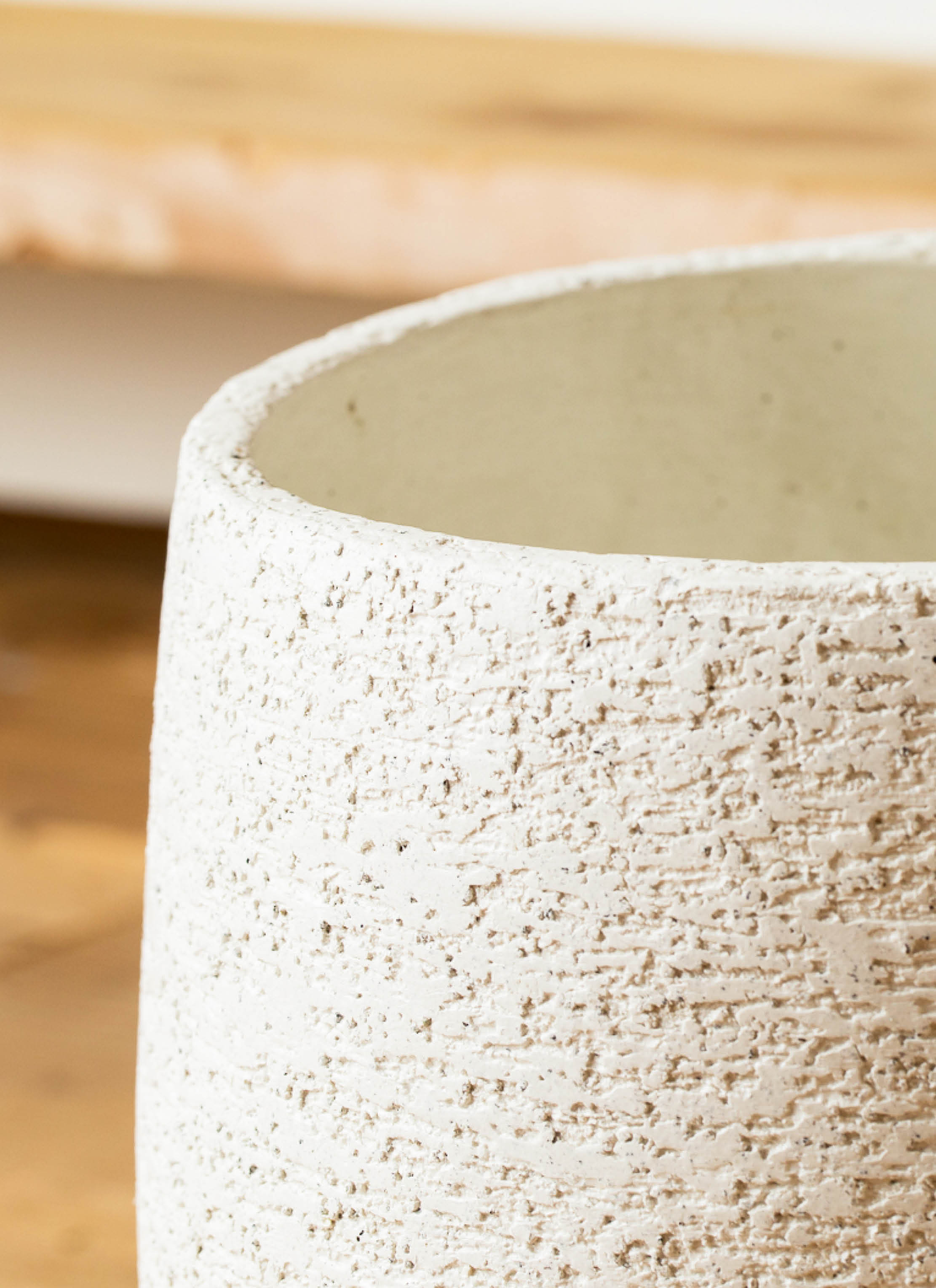 観葉植物 ユーカリ 6号 ポポラス（ポリアンセモス） Eco Stone