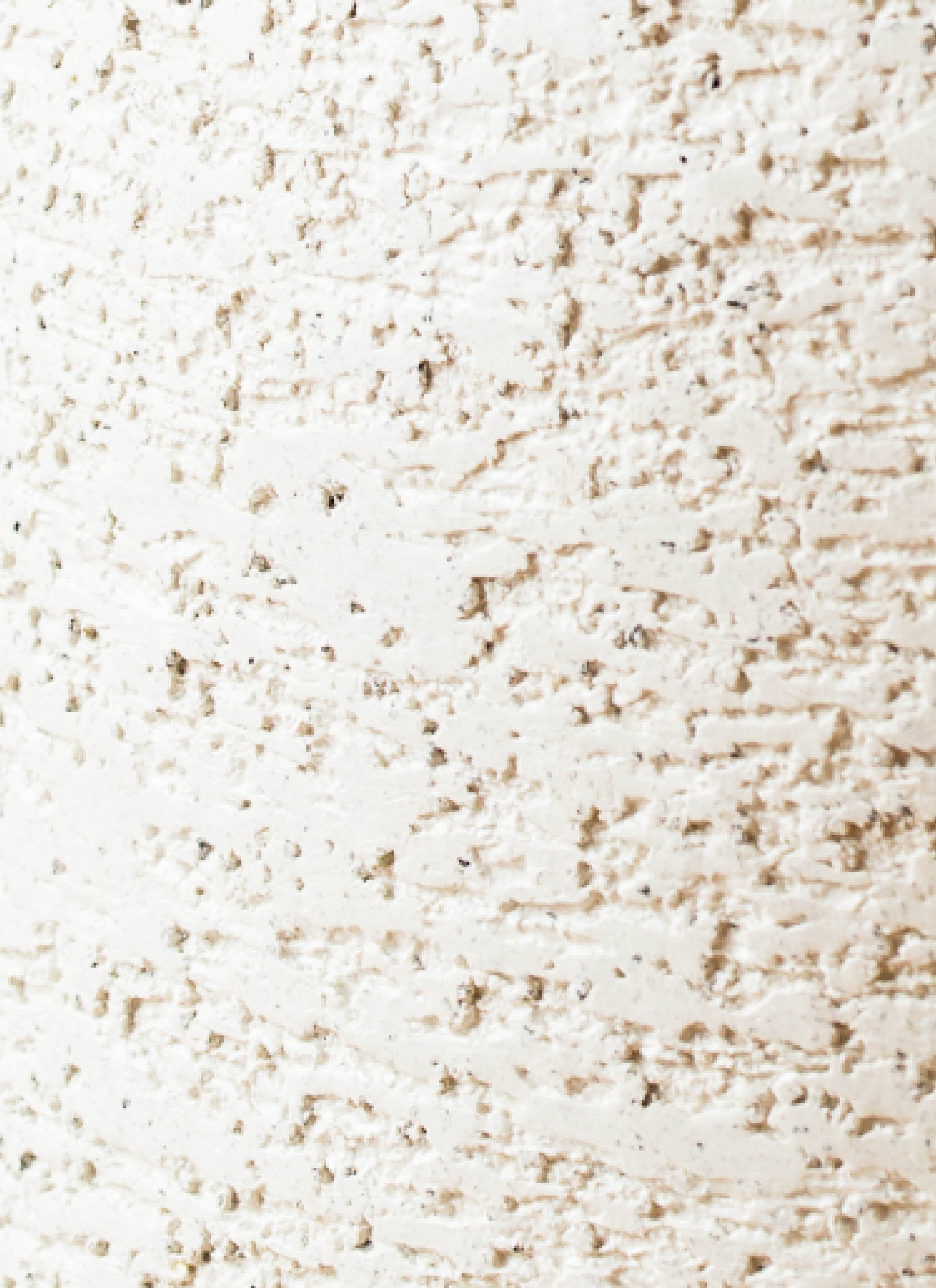 ポポラス　/ 546 観葉植物 ユーカリ 6号 ポポラス（ポリアンセモス） Eco Stone