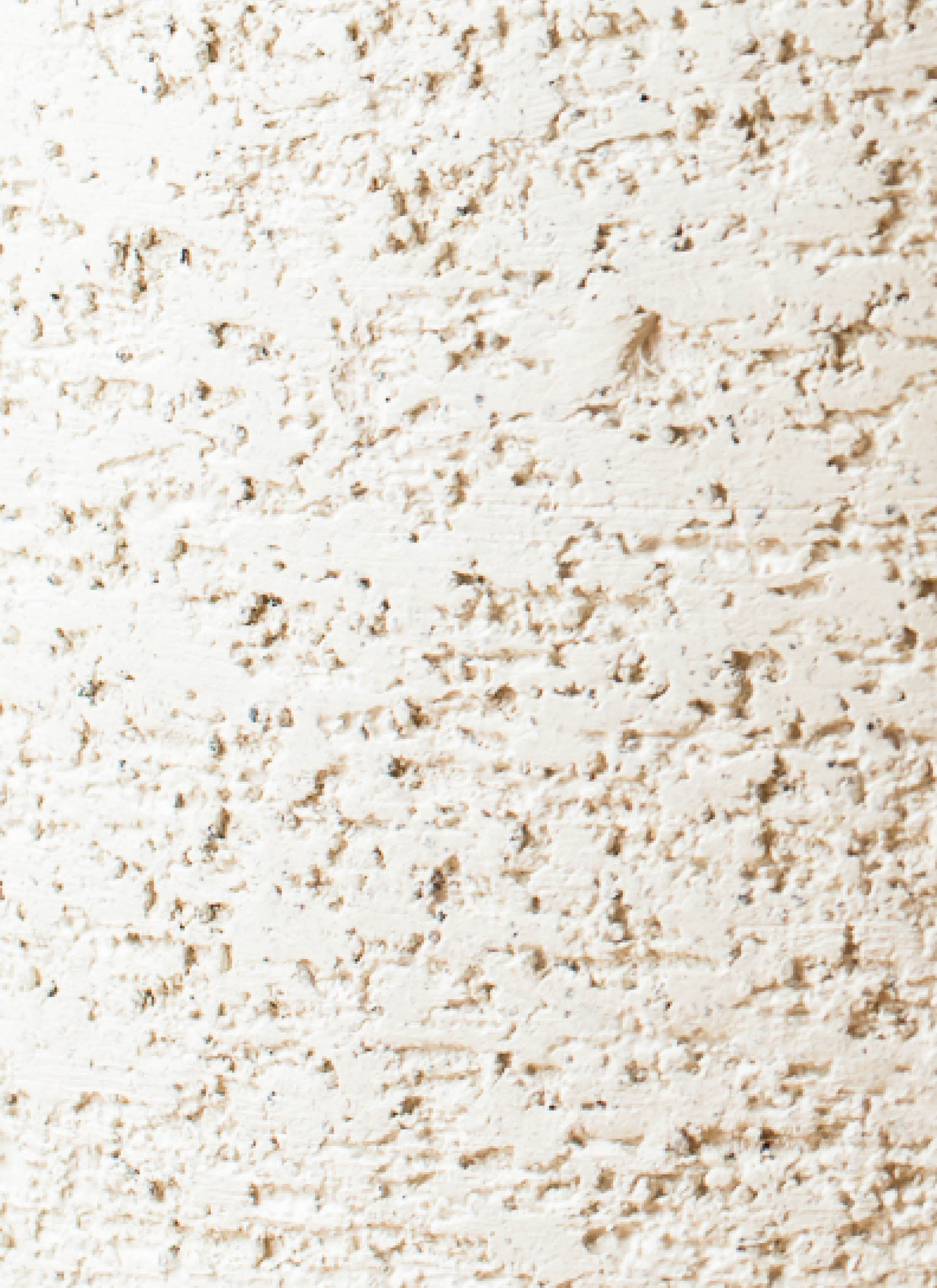 観葉植物 ユーカリ 8号 グニー エコストーンwhite 付き | 観葉植物なら