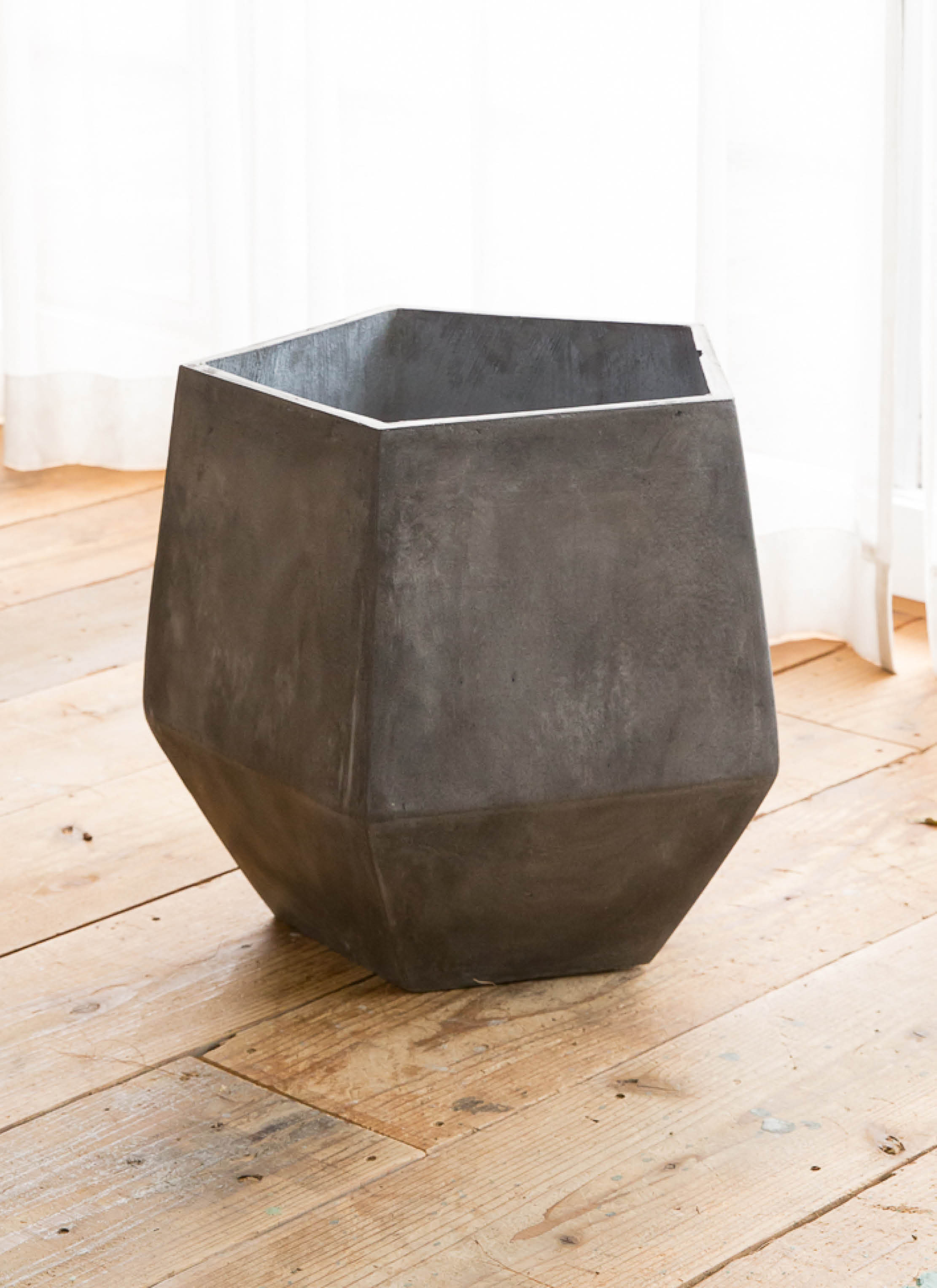 ストレリチア レギネ ファイバー鉢 お皿付き 観葉植物 ストレリチア レギネ 7号 FiberCray（ファイバークレイ