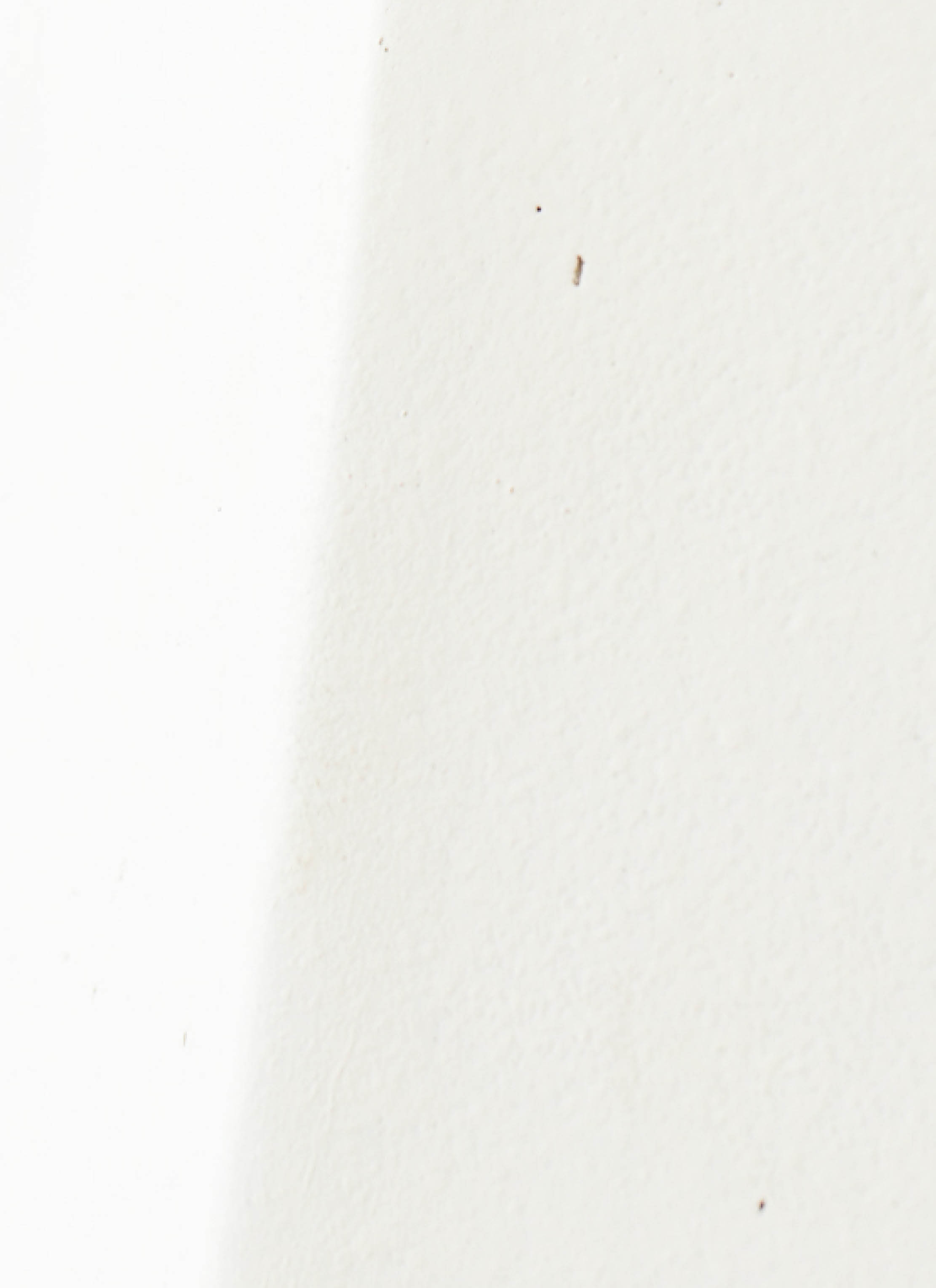 観葉植物 ユーカリ 8号 ポポラス（ポリアンセモス） ポリゴヘクサ 白