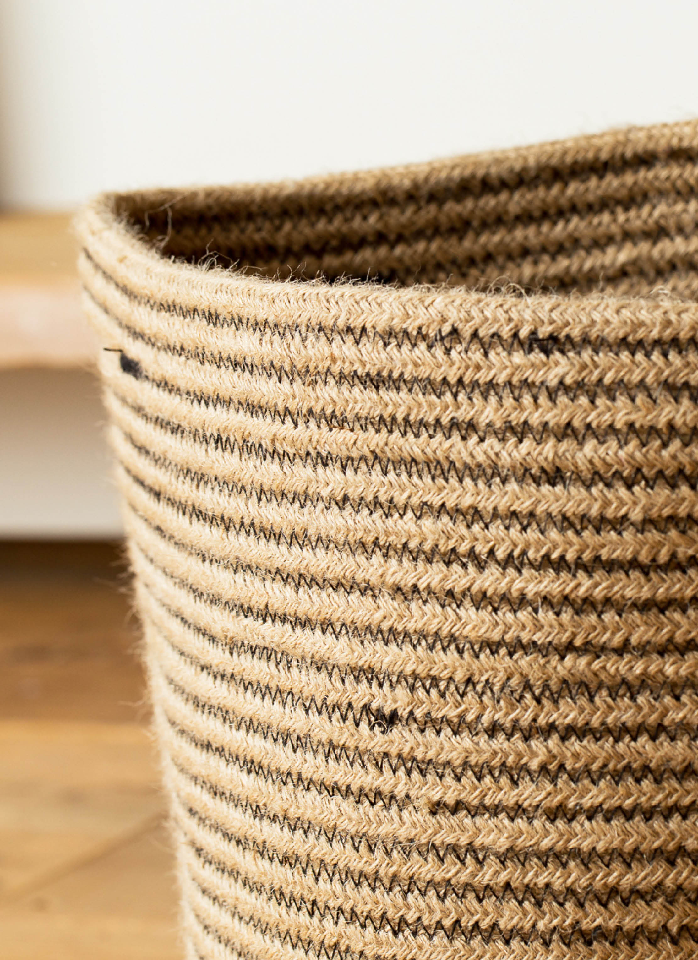 観葉植物 シュロチク（棕櫚竹） 8号 リブバスケットNatural 付き