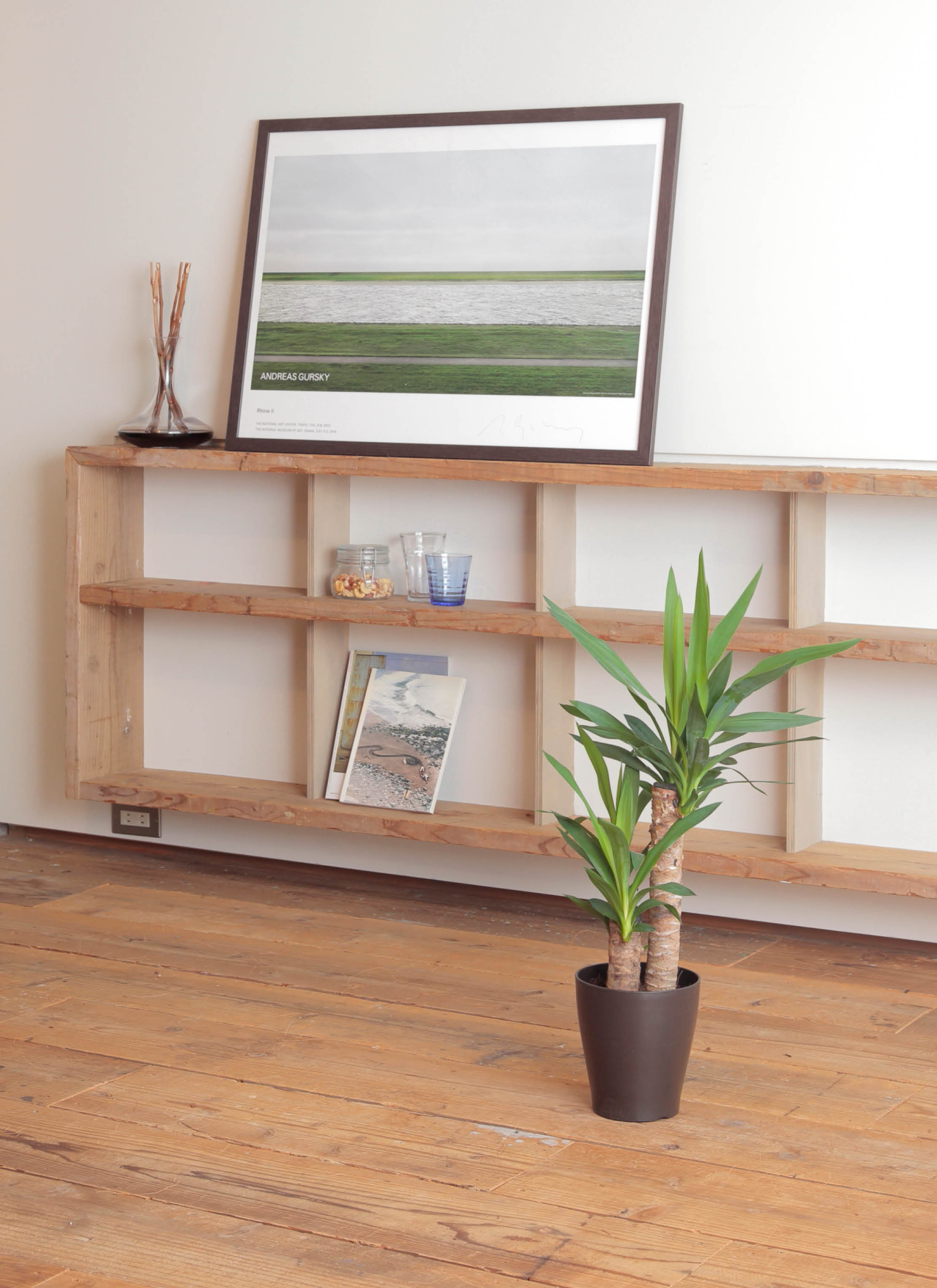 観葉植物 ユッカ 6号 ノーマル レザーポット0 グレー 付き | 観葉植物