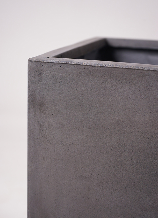 トックリヤシ ファイバー鉢 お皿付き 観葉植物 トックリヤシ 10号 ファイバークレイ キューブ 付き | 観葉