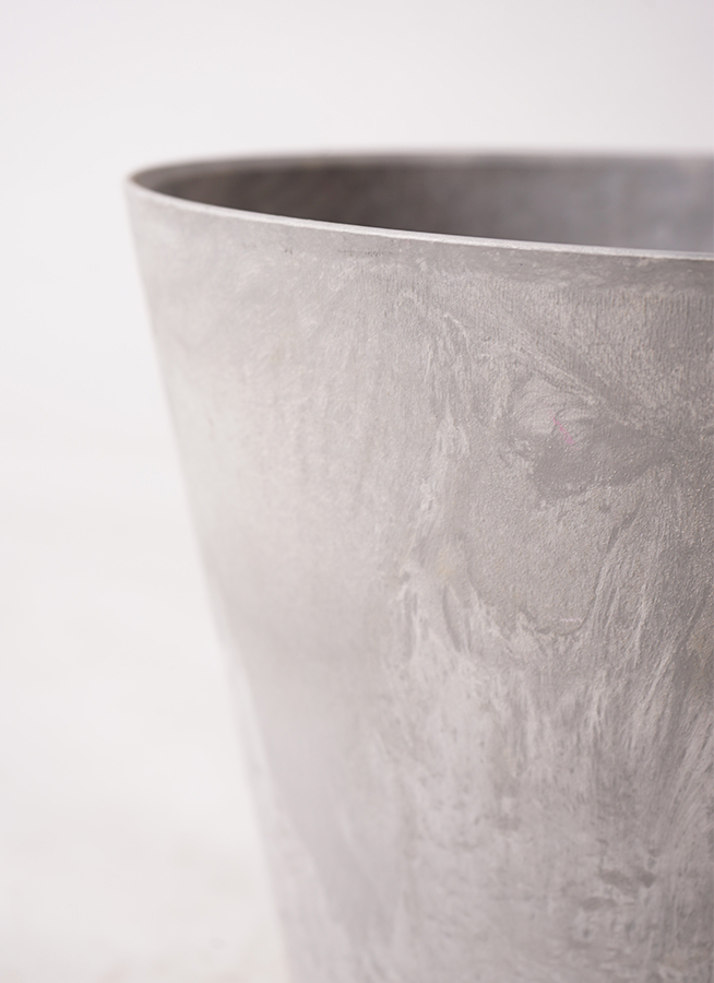 観葉植物 ガジュマル 8号 アートストーン ラウンド グレー 付き