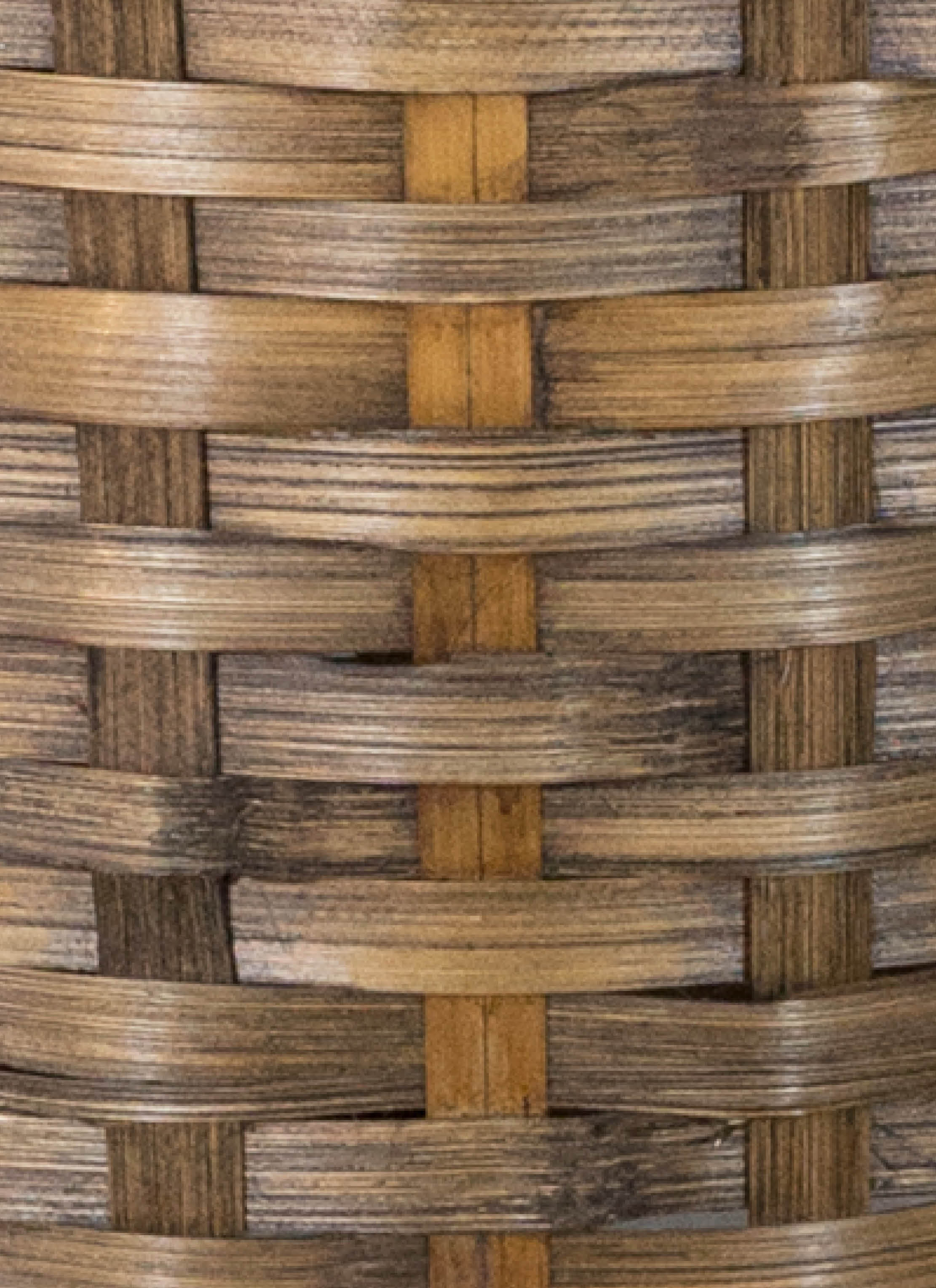 観葉植物 ウンナンシュロチク 8号 竹バスケット 付き | 観葉植物なら