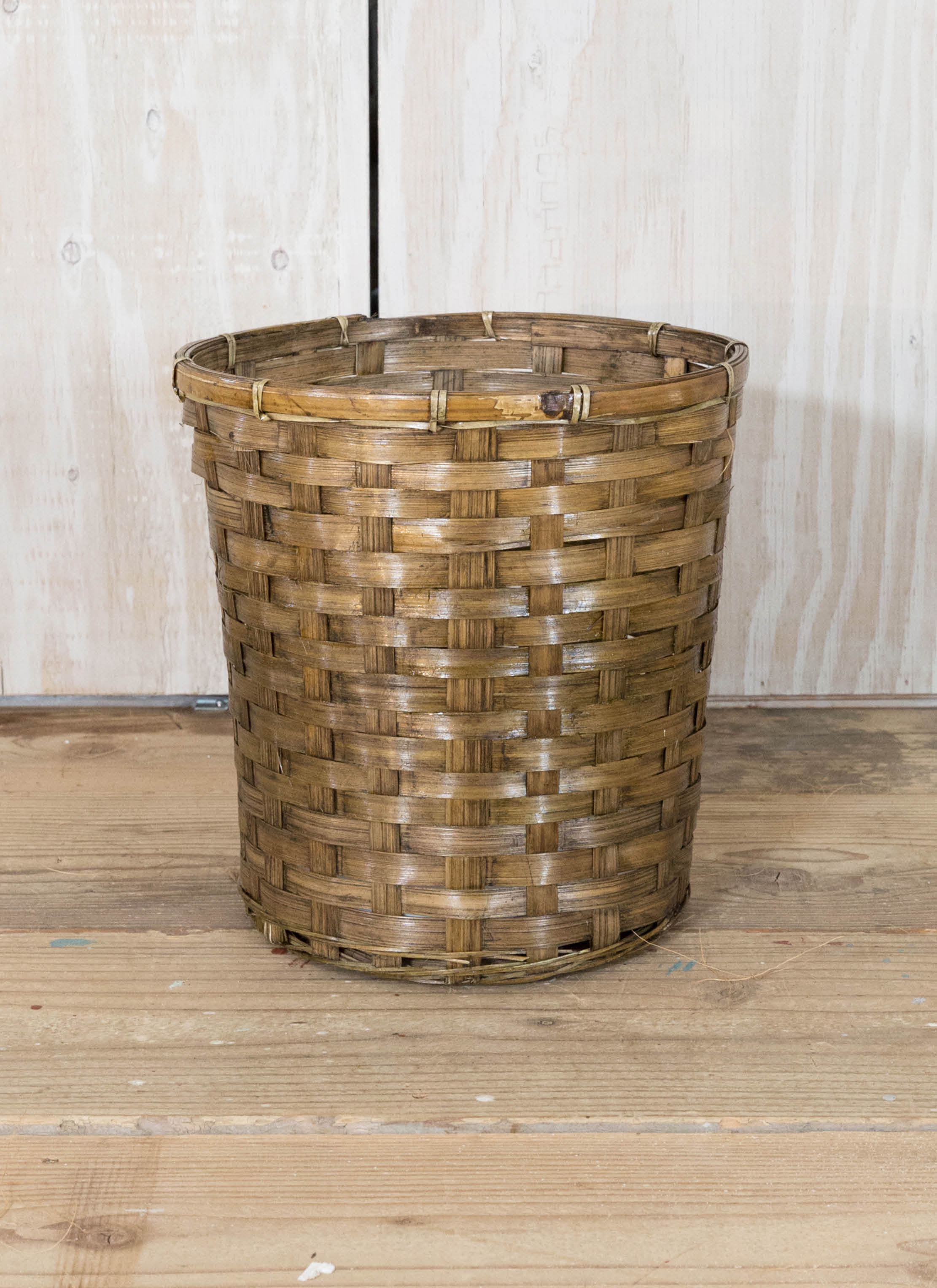 観葉植物 オリーブの木 10号 レッチーノ 竹バスケット 付き