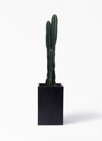 さぼてん様 ❸ナチュラル しぼサテンインタックとろみイージーセミワイドパンツ＜大きい