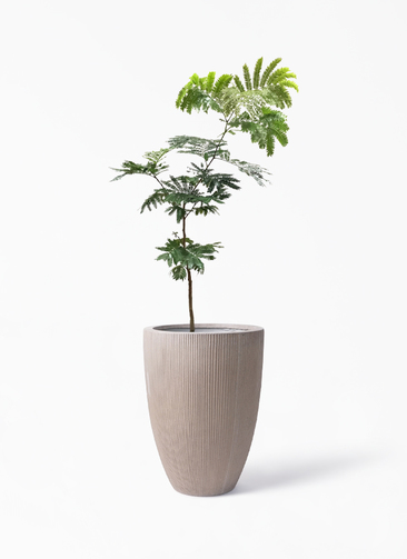 everfresh-579_1.jpg?1626052170