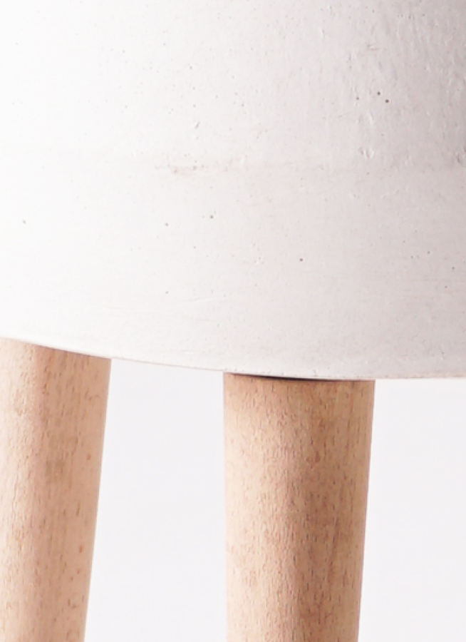 観葉植物 パキラ 6号 ねじり ファイバークレイ white 付き | 観葉植物