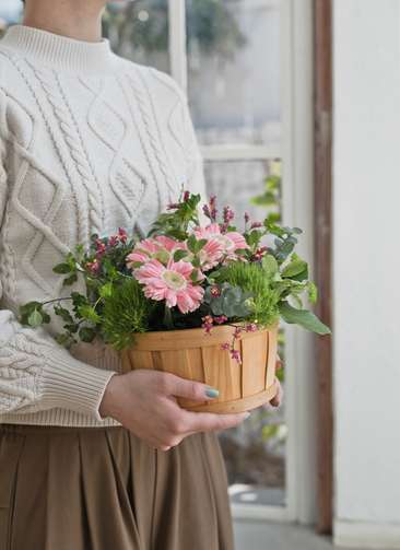 ガーベラ アレンジメント ピンク Ss アレンジメントならhitohana ひとはな