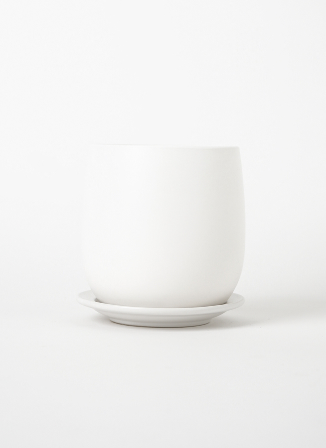 鉢　特殊なオリジナル鉢 楽天市場】Whichford ウィッチフォード 植木鉢 受け皿付き 塗り