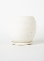 edge-ball-2_1.jpg?1647452202