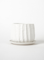 libero-1_1.jpg?1647452334