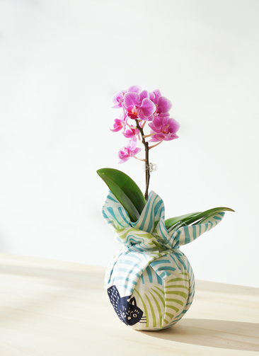 micro-pink-20_1.jpg?1656640533
