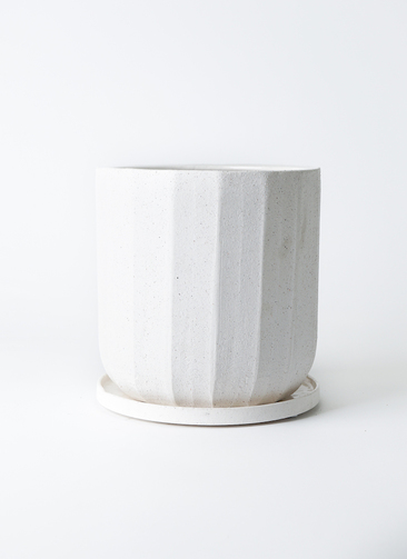 ionius-creep-1_1.jpg?1657862269