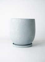 シルバー グレビレア アイバンホー 根付き鉢物大株 高さ1.3m 8号鉢 楽天市場】植木鉢 縦長植木鉢 鉢 大型プランター ホテル 公共