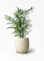 テーブルヤシ1mサイズ table-palm-397_1.jpg?1658741523