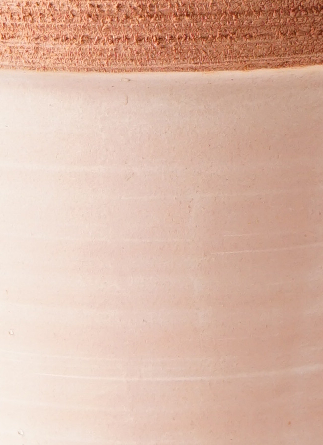 観葉植物 ユーカリ 6号 ポポラス（ポリアンセモス） スタンダード