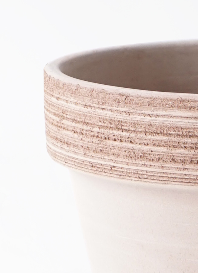 ポポラス　/ 546 ポポラス / 546 ポポラス / 546