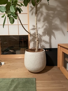 鉢カバー Eco Stone（エコストーン） 8号鉢用 white #stem F1806 | 鉢