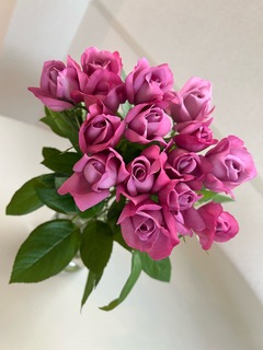バラ 50本ブーケ パープル | 花束ならHitoHana(ひとはな)