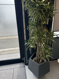 鉢カバー FiberCray（ファイバークレイ） 10号鉢用 Gray #stem F9802