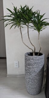 鉢カバー Eco Stone（エコストーン） トールタイプ6号鉢用 Gray #stem