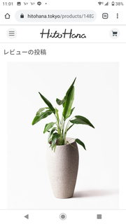 Screenshot_20200505-110120.png