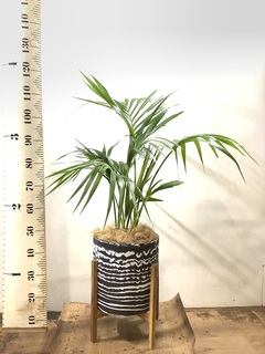 0_910a228d-ac2a-455b-875f-