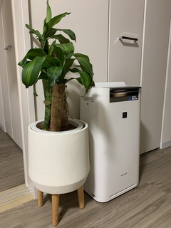 鉢カバー FiberCray（ファイバークレイ） 7号鉢用 white #stem F9854