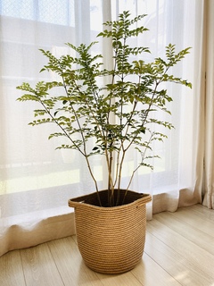 鉢カバー Rib Basket（リブバスケット） 8号鉢用 Natural #stem