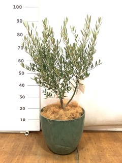 0_4028f5ba-c675-470b-ba94-