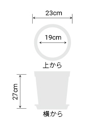 サイズ画像