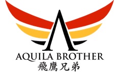 飛鷹兄弟計劃 飛鷹兄弟計劃