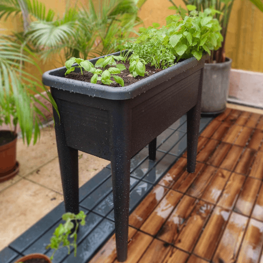 InstaRedeem 20% off for Starter Grow Kits InstaRedeem 20% off for Starter Grow Kits