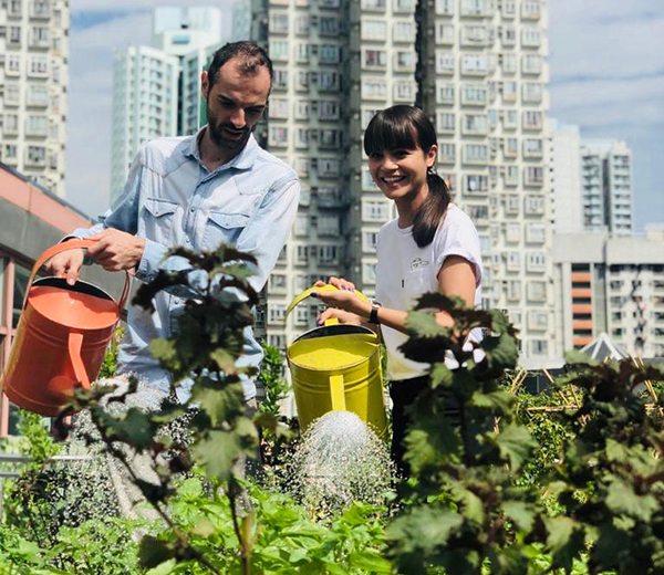 Rooftop Republic launches its Community Urban Farming Membership Programme at Sheung Wan! Rooftop Republic launches its Community Urban Farming Membership Programme at Sheung Wan!