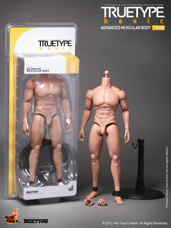 ホットトイズ トゥルータイプ 1/6 スケールフィギュア 素体 ベーシック 