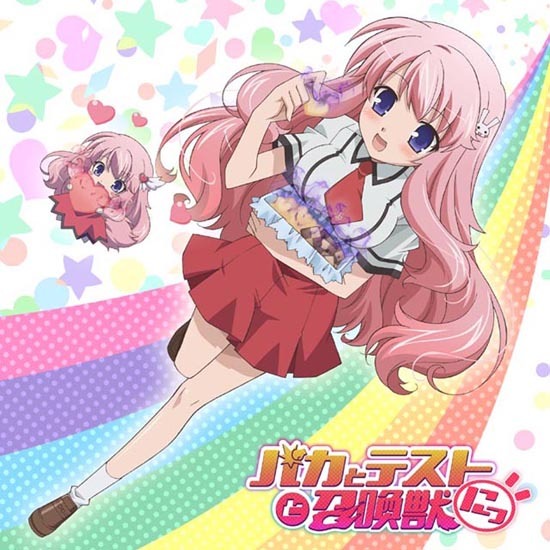 Amazon.co.jp: カードスリーブ バカとテストと召喚獣にっ姫路