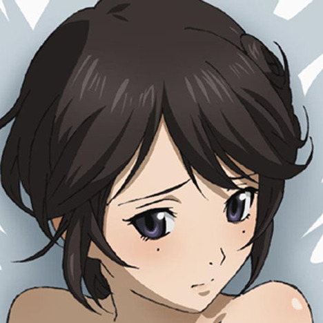 閃光のナイトレイド 苑樹雪菜 抱き枕カバー ホビーの総合通販サイトならホビーストック