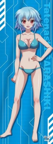 Is インフィニット ストラトス 2 キラキラ タペストリー 更識楯無 ホビーの総合通販サイトならホビーストック