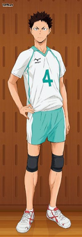 ハイキュー 等身大タペストリー 岩泉一 ホビーの総合通販サイトならホビーストック