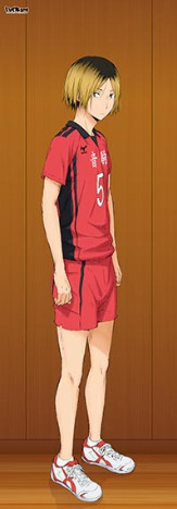 グレイ系 メール便送料無料対応可 孤爪研磨 ハイキュー 等身大タペストリー 縁日 その他 コミック アニメグッズグレイ系 11 999 Eur Artec Fr