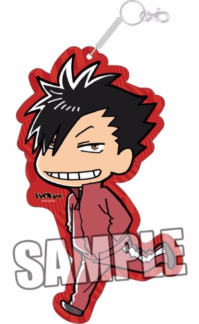 ハイキュー Bigパスケース 黒尾鉄朗 ホビーの総合通販サイトならホビーストック