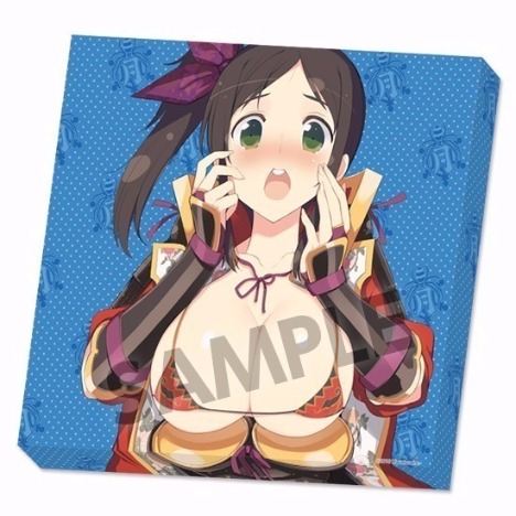 Hs限定 閃乱カグラ 叢 おっぱいマウスパッド B2タペストリー フラットタイプクッション付限定版 ホビーの総合通販サイトならホビーストック