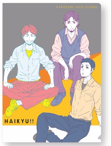 ハイキュー クリアファイルc 烏野3年生 ホビーの総合通販サイトならホビーストック