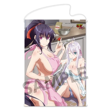 ハイスクールd D Hero B2タペストリー 朱乃 ロスヴァイセ ホビーの総合通販サイトならホビーストック