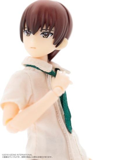 ピコ男子 石川ハジメ(Brown ver.) 1/12 完成品 ドール(PID026-PIB) アゾン AZONE INTERNATIONAL::HappinessClover::商品詳細