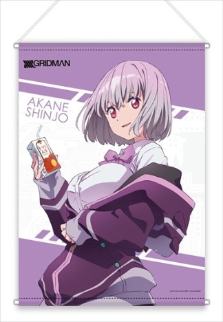 Ssss Gridman 描き下ろしb2タペストリー 新条アカネ ホビーの総合通販サイトならホビーストック