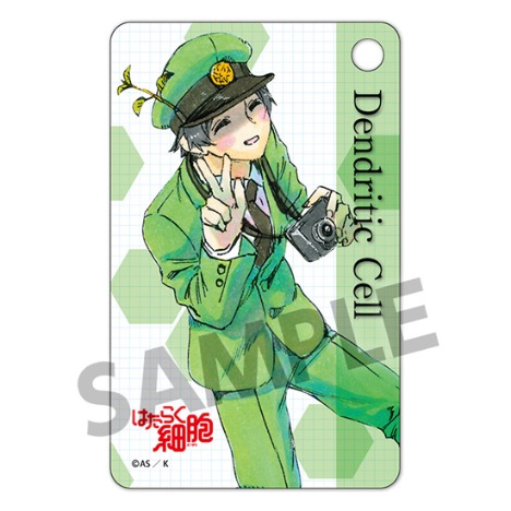 はたらく細胞 パスケース 樹状細胞 ホビーの総合通販サイトならホビーストック